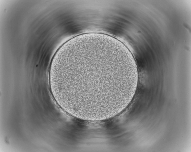 X0000094961150200712201155