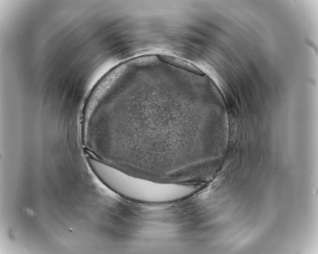 X0000094961151200712201155