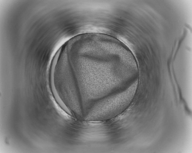 X0000094961152200712201155