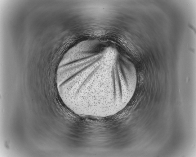 X0000094961153200712201154