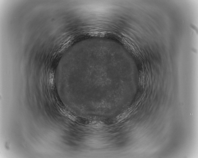 X0000094961154200712201154