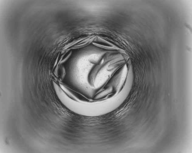 X0000094961156200712201154