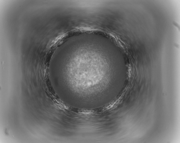 X0000094961157200712201154