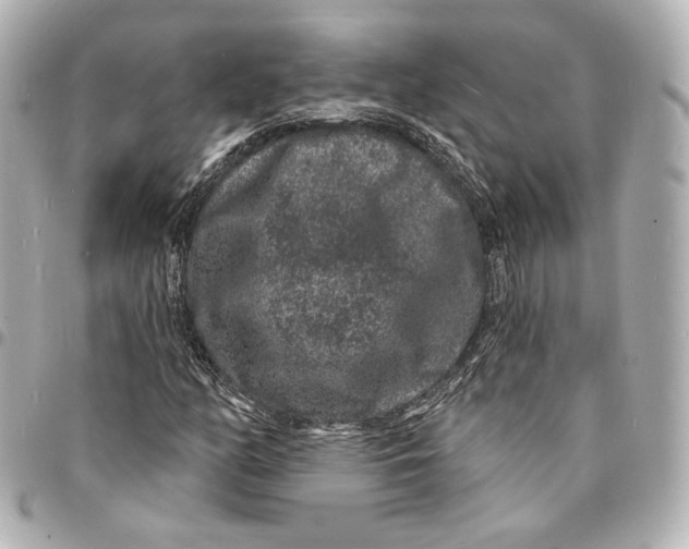 X0000094961158200712201154