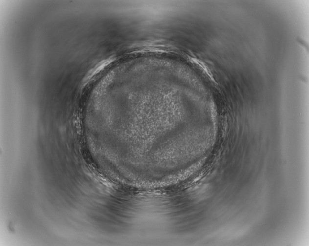 X0000094961159200712201154