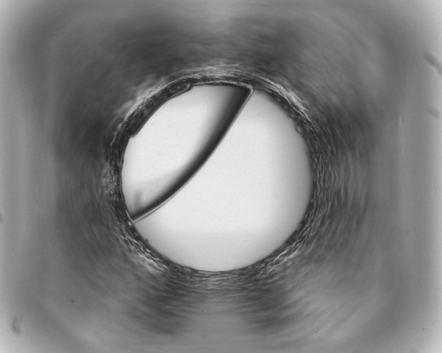 X0000094961160200712201154