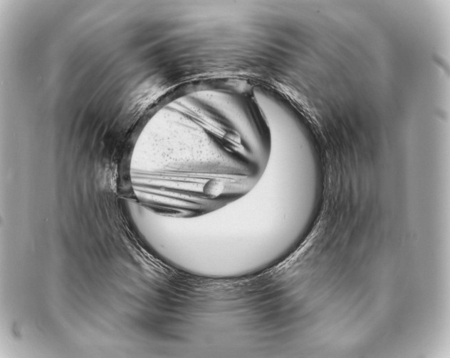 X0000094961161200712201154