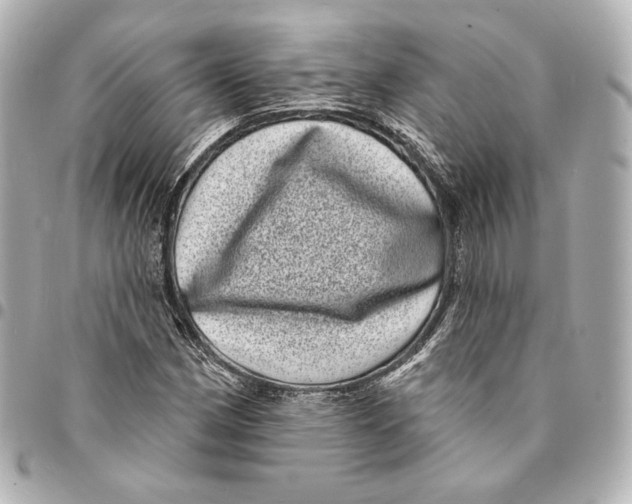 X0000094961162200712201154