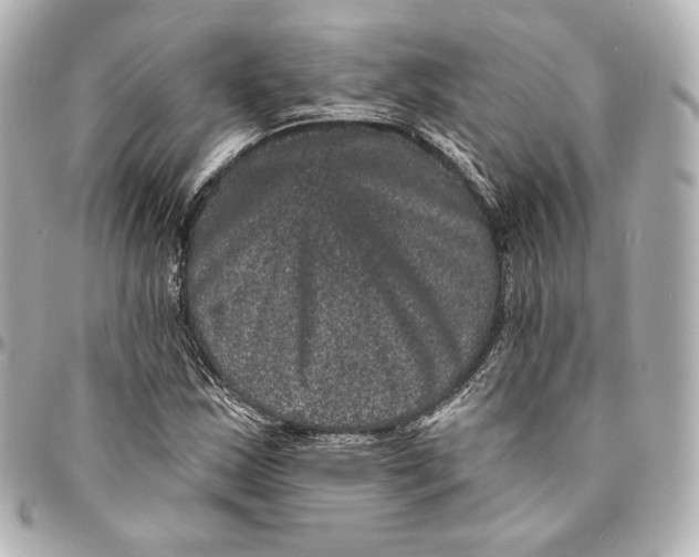 X0000094961163200712201154