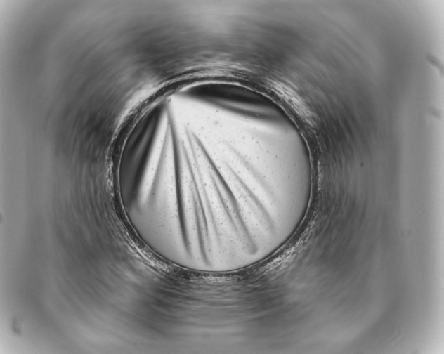 X0000094961164200712201154