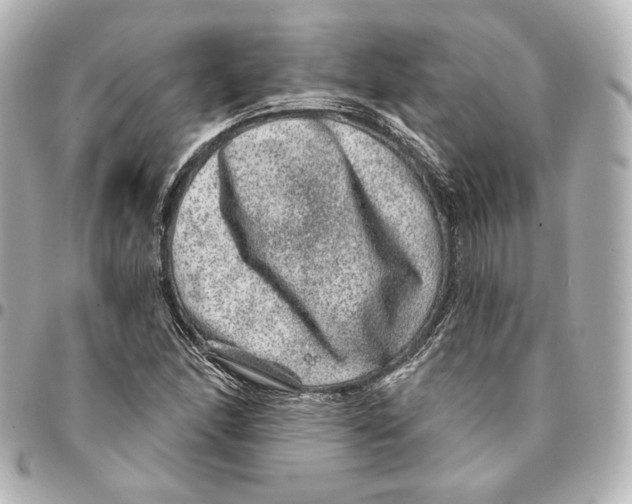 X0000094961166200712201154