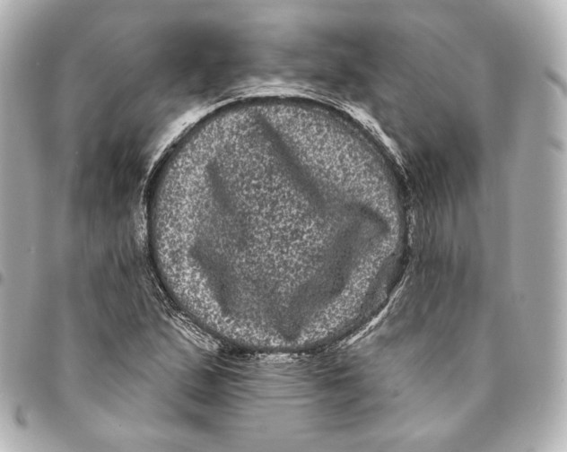 X0000094961167200712201153