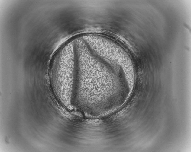 X0000094961168200712201153