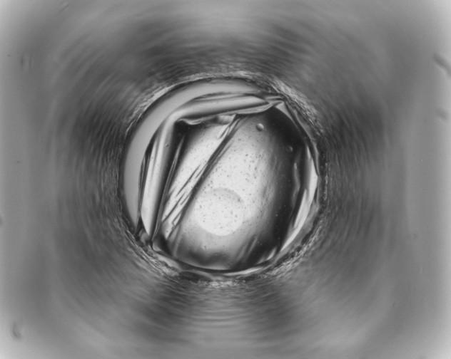 X0000094961169200712201153