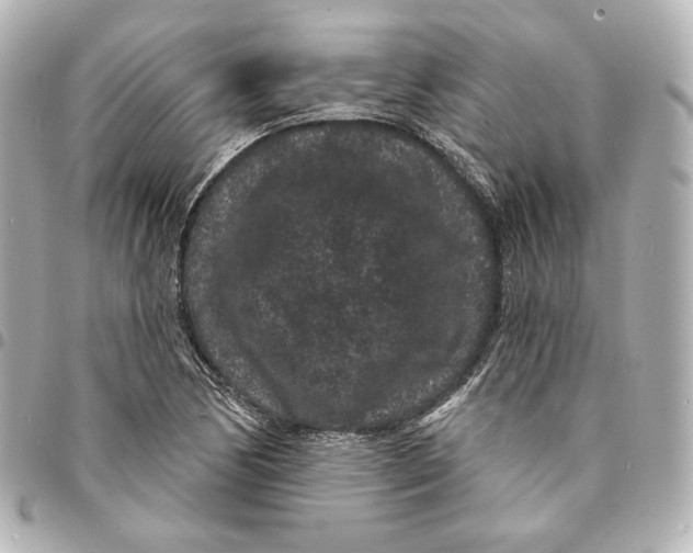 X0000094961170200712201153