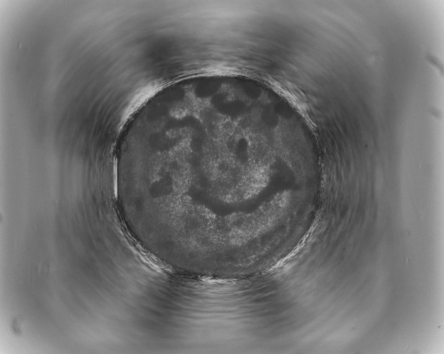 X0000094961171200712201153