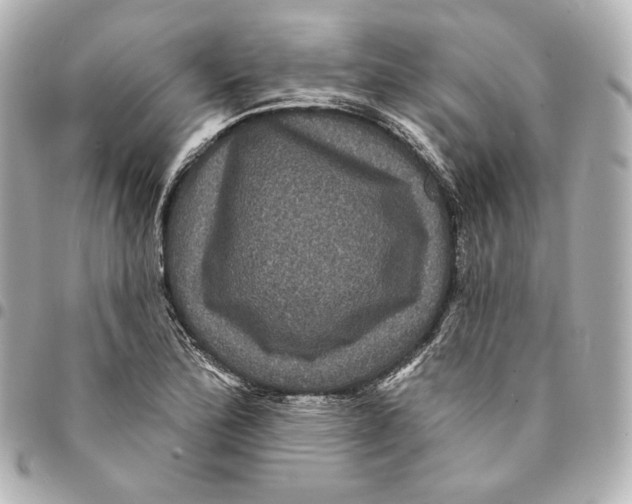 X0000094961172200712201153