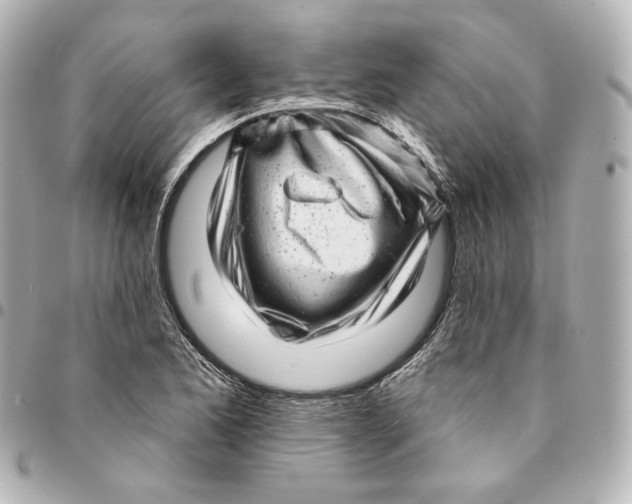 X0000094961173200712201153