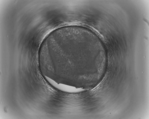 X0000094961174200712201153