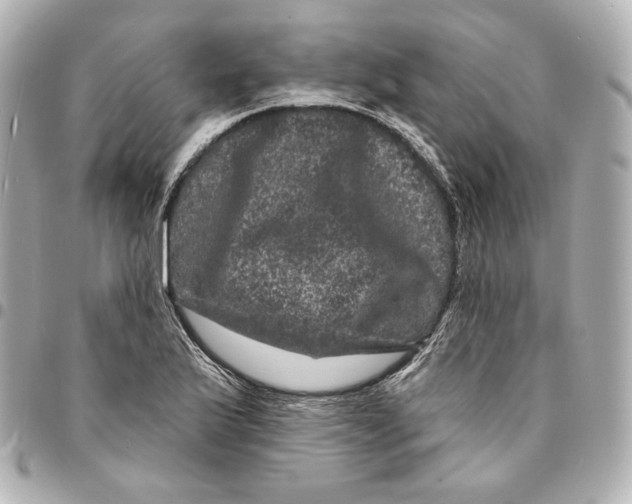 X0000094961175200712201153