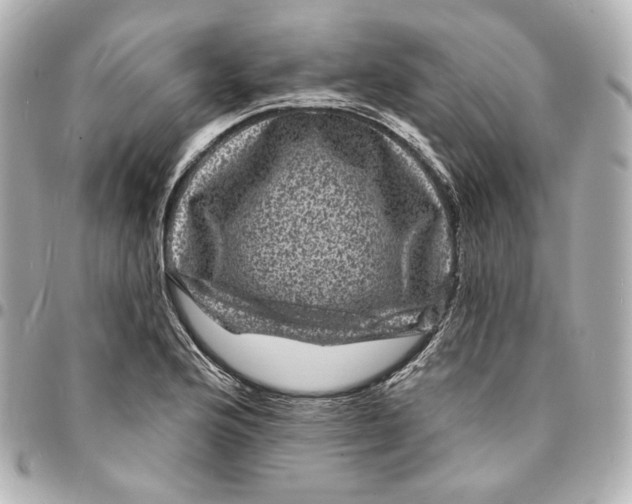 X0000094961176200712201153