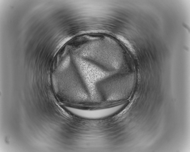 X0000094961177200712201153