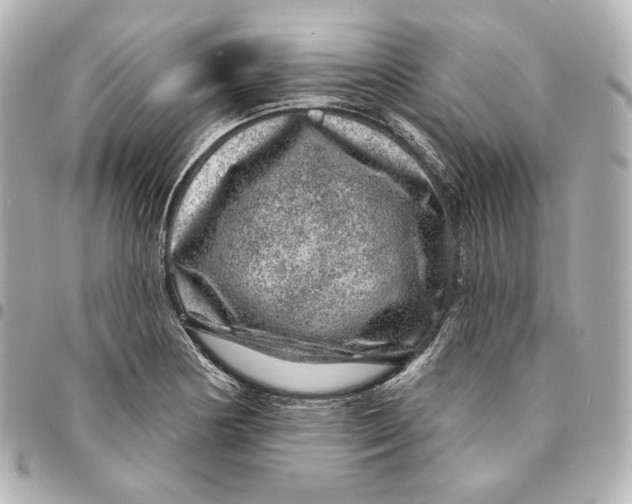 X0000094961178200712201153