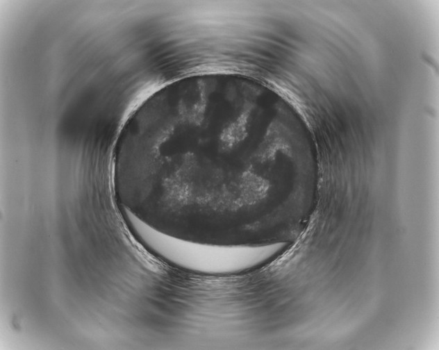 X0000094961179200712201153