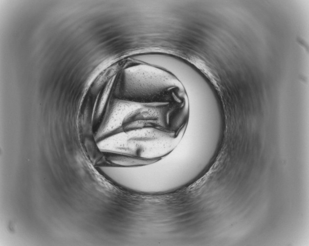 X0000094961181200712201153