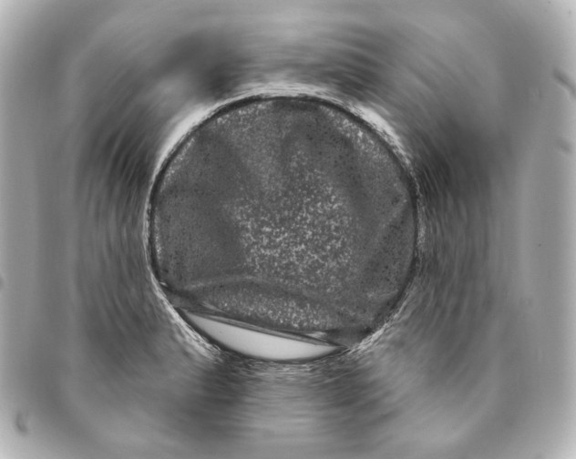 X0000094961183200712201153