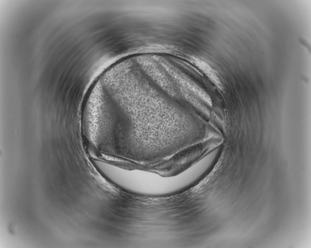 X0000094961184200712201153