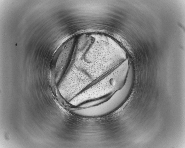 X0000094961185200712201153