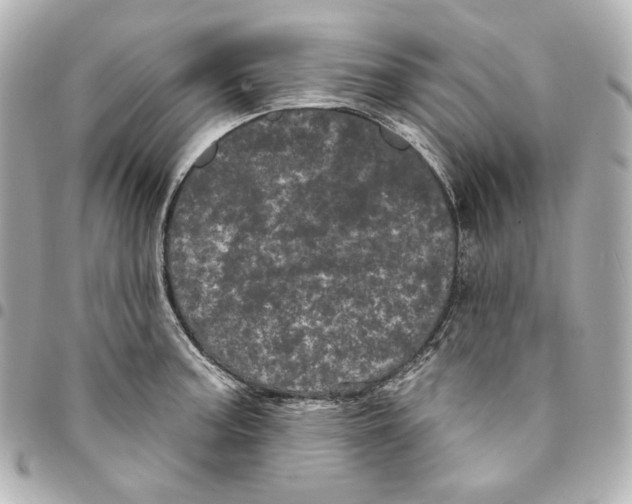 X0000094961187200712201153