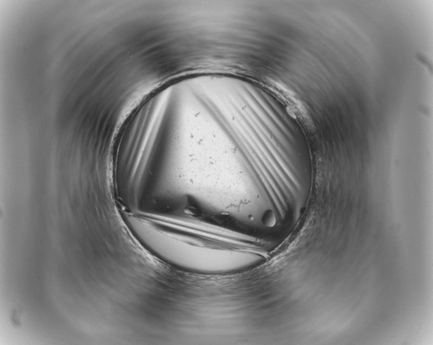 X0000094961188200712201153