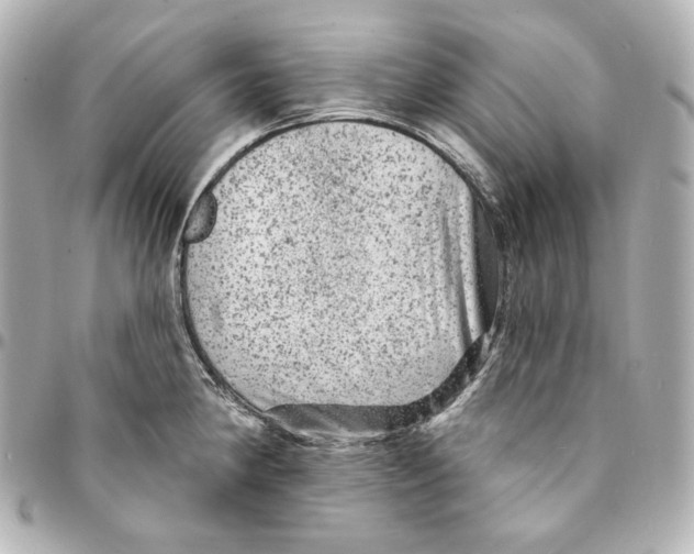 X0000094961190200712201153