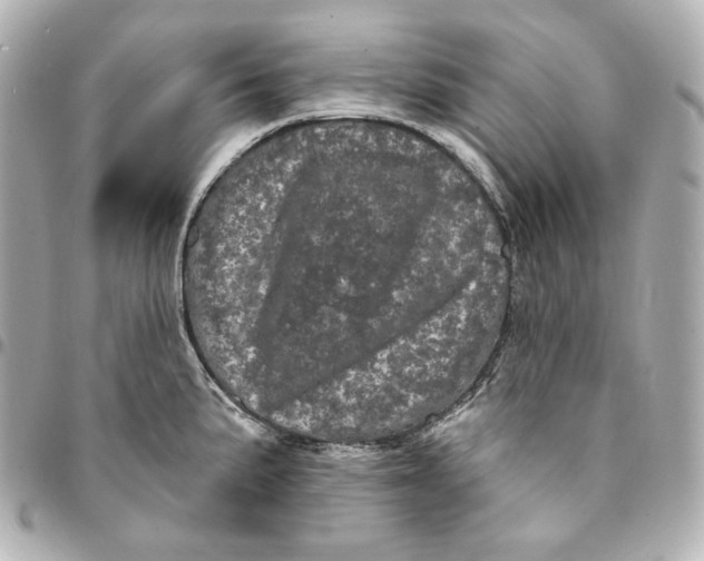 X0000094961191200712201153