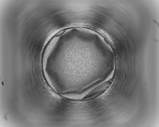 X0000094961192200712201153