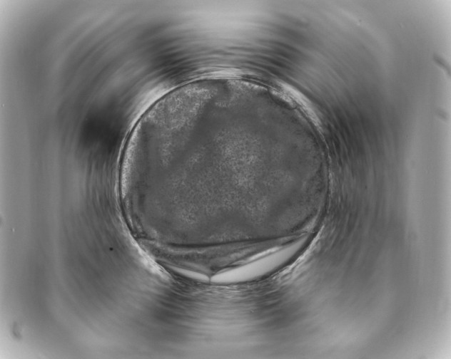 X0000094961194200712201153