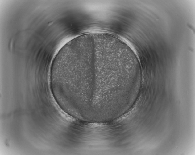 X0000094961195200712201153