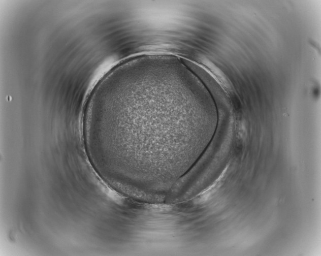 X0000094961196200712201153