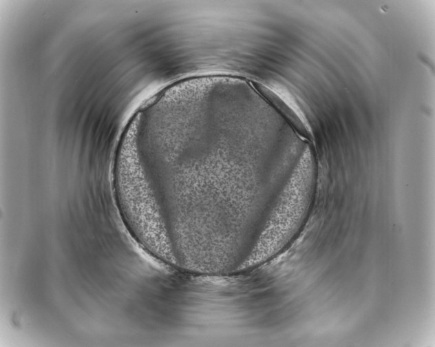 X0000094961197200712201153