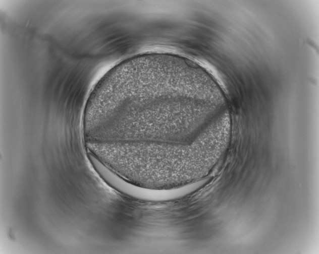 X0000094961199200712201153