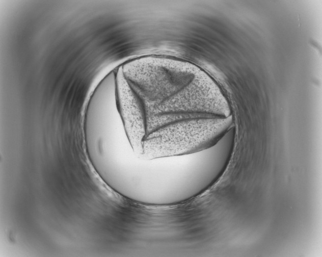 X0000094961200200712201153