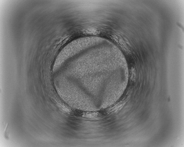 X0000094961201200712201152