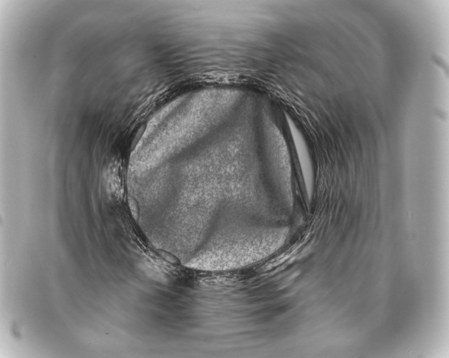 X0000094961202200712201152