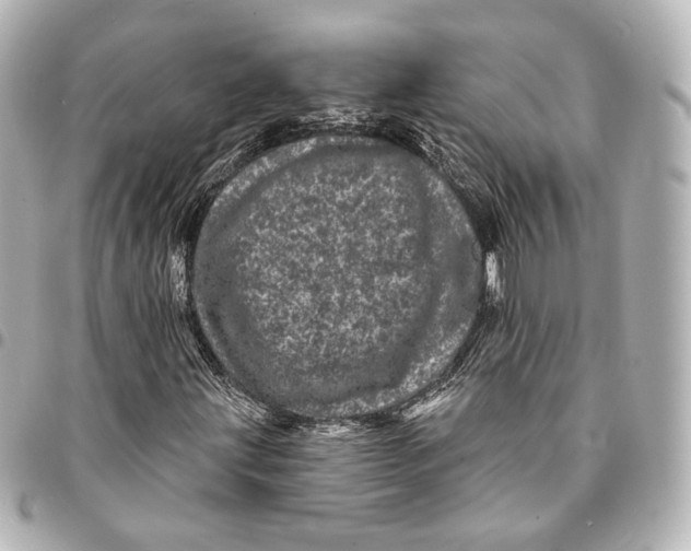 X0000094961203200712201152