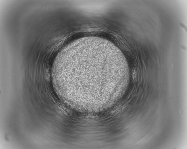 X0000094961204200712201152