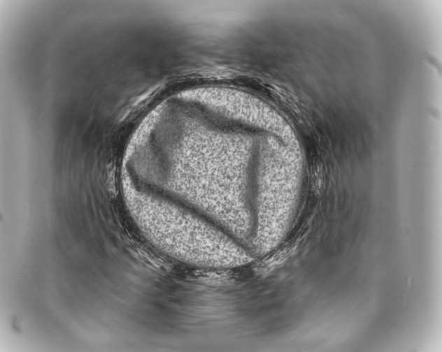 X0000094961205200712201152