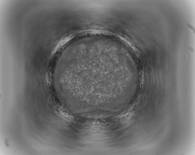 X0000094961207200712201152