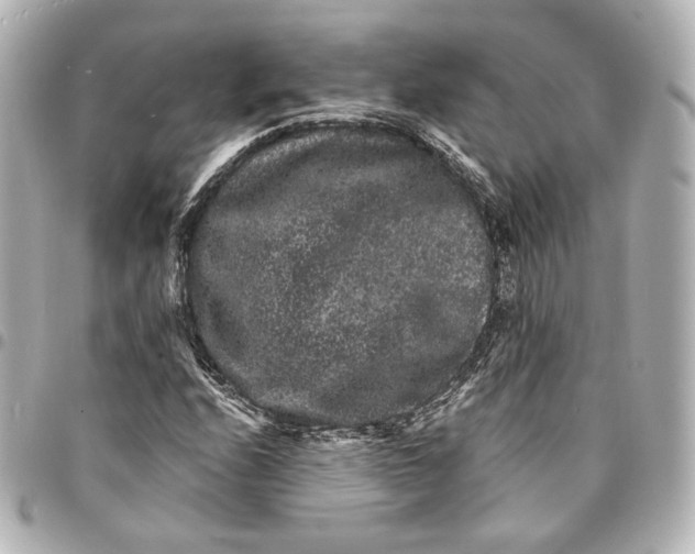 X0000094961208200712201152